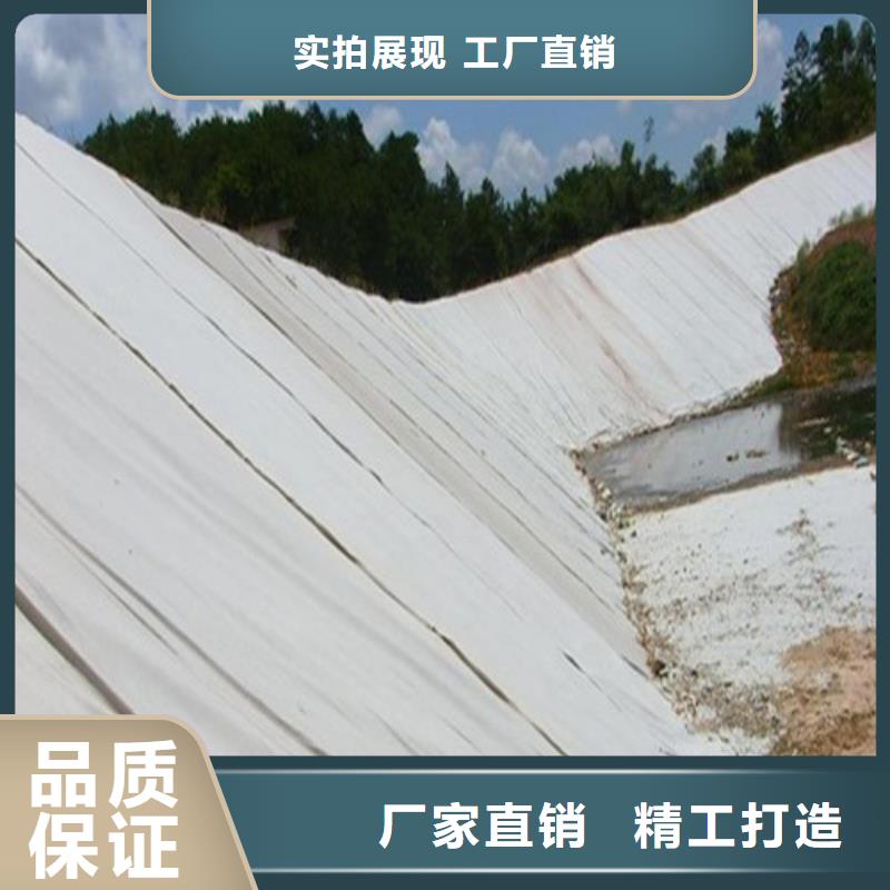 土工膜鱼塘防渗膜 常年供应，守护高效养殖与生态环境