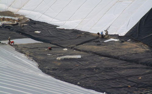 沼气池优选防渗膜 2.0mm高密度HDPE防渗土工膜全面解析