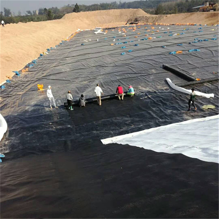 环保防渗新选择 氧化塘、沼液池与养殖用HDPE土工膜全面解析
